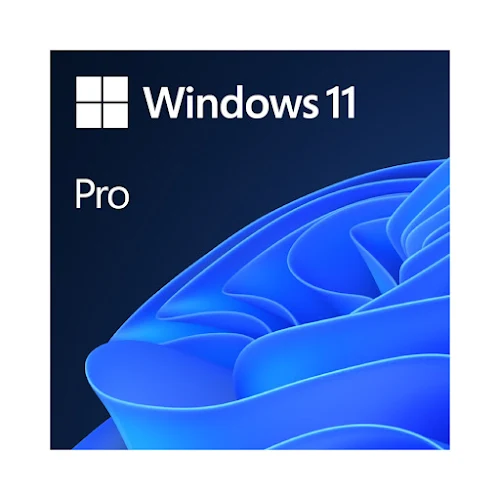 Phần mềm Win Pro 11 64Bit Eng Intl 1pk DSP OEI DVD