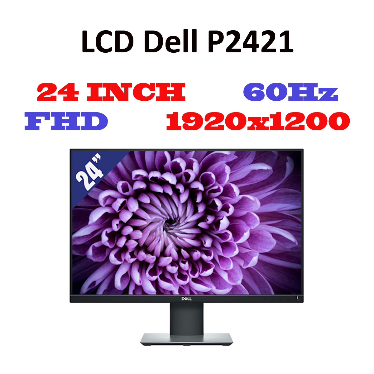 Màn hình LCD Dell P2421 (1920 x 1080/IPS/60Hz/5 ms)